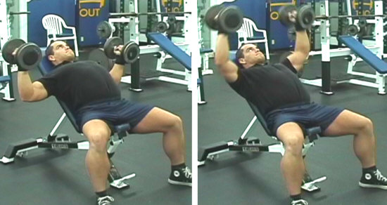Incline Bench Dumbbell Flyes
