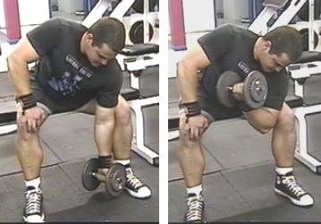 http://www.leehayward.com/2008pics/ironworkout/concurl.jpg