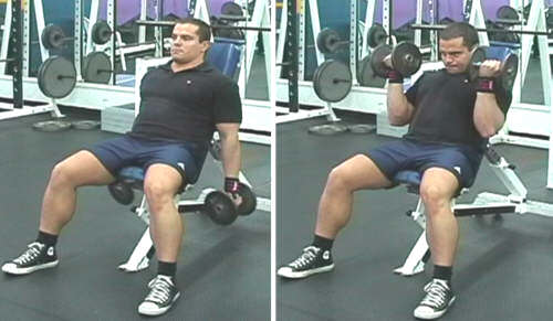 Incline Dumbbell Curls