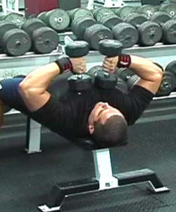 Lying Dumbbell Extension