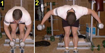 Bent Over Dumbbell Lateral Raise