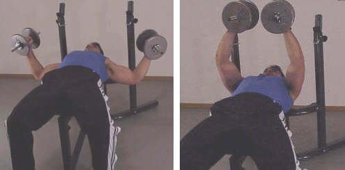 dumbbell flye picture