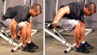 Seated Bent Over Dumbbell Lateral Raise