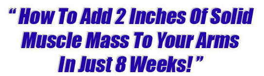 How To Add 2 Inches Of Solid Muscle Mass To Your Arms In Just 8 Weeks!