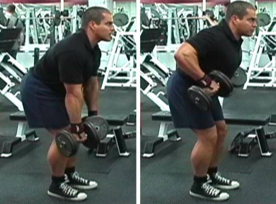 Bent Over Dumbbell Row