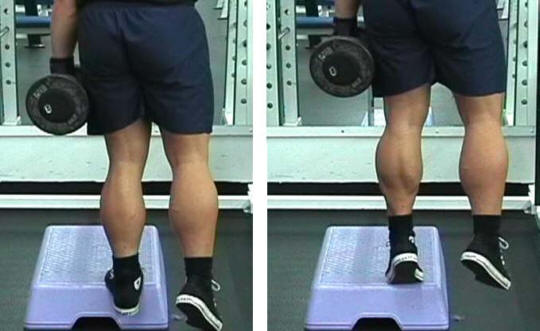 Dumbbell Calf Raise