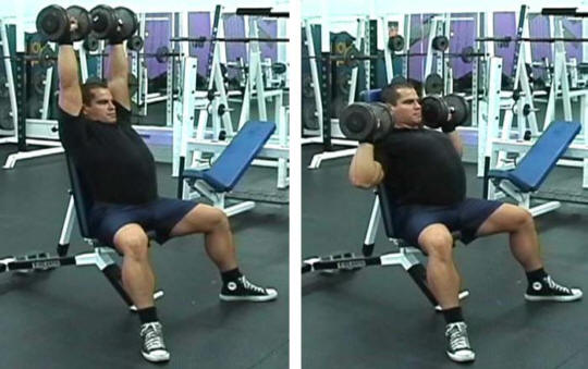 Seated Dumbbell Shoulder Press