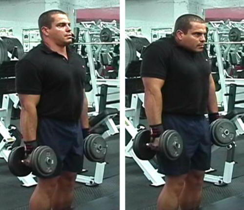 Dumbbell Shrugs