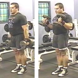 Dumbbell Side Lateral Raises