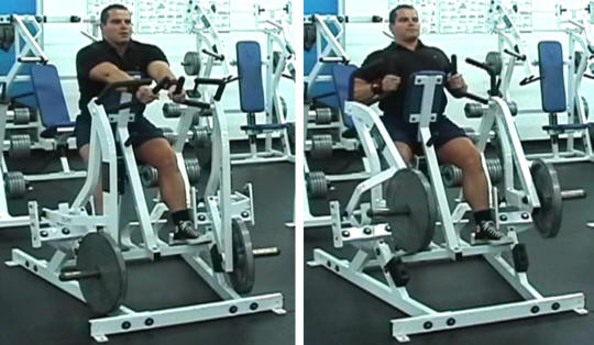Single arm hotsell hammer strength row