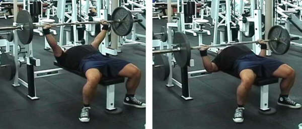 bench press picture