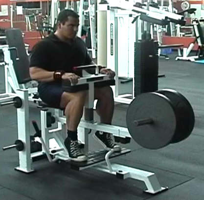 seated calf raise machine. This exercise targets the soleus muscles because seated calf raise machine. This exercise targets the soleus muscles because
