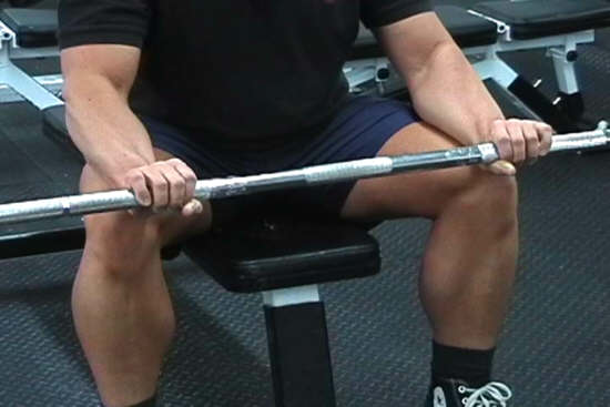 Barbell Reverse Wrist Curl Forearm Exercise