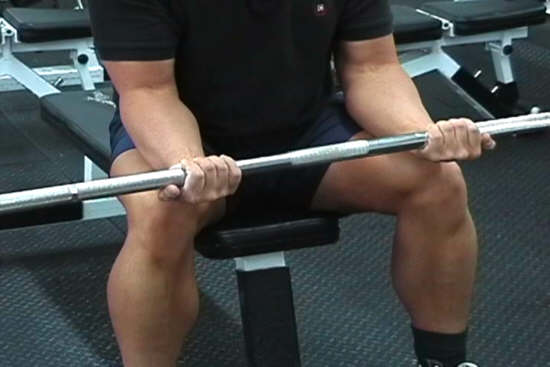 Barbell Wrist Curl Forearm Exercise
