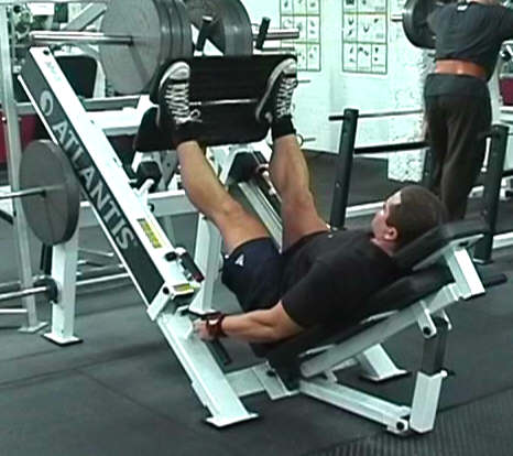 Leg Press Exercise