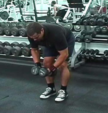 Bent Over Lateral Raises