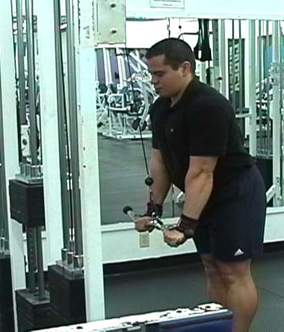 Ez bar tricep hotsell