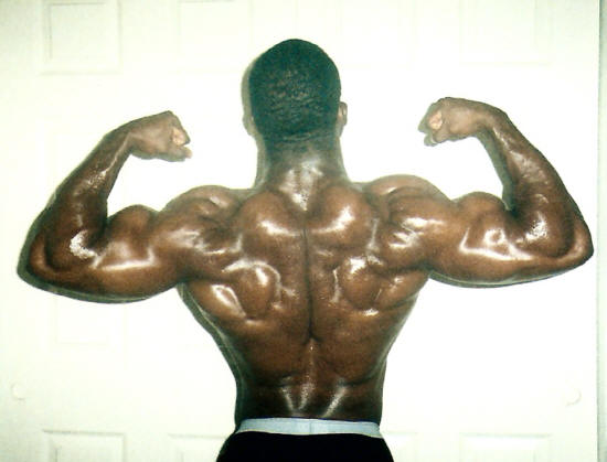 body building amateur