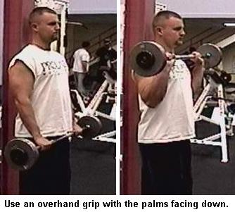 reverse barbell curl