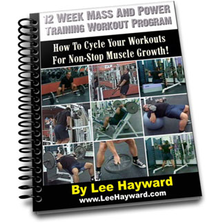 12 Week Workout Program