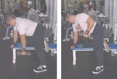 1 arm dumbbell row