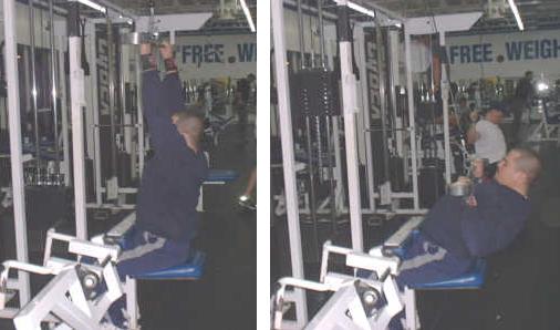 lat pulldown picture