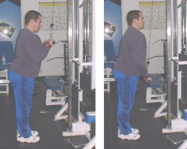 tricep pushdown picture