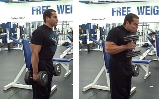 Lee Hayward doing dumbbell hammer curls