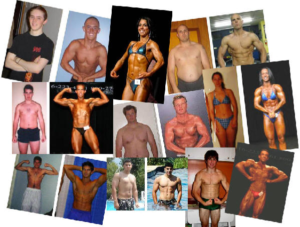 Lee Hayward's Customized Diet Programs